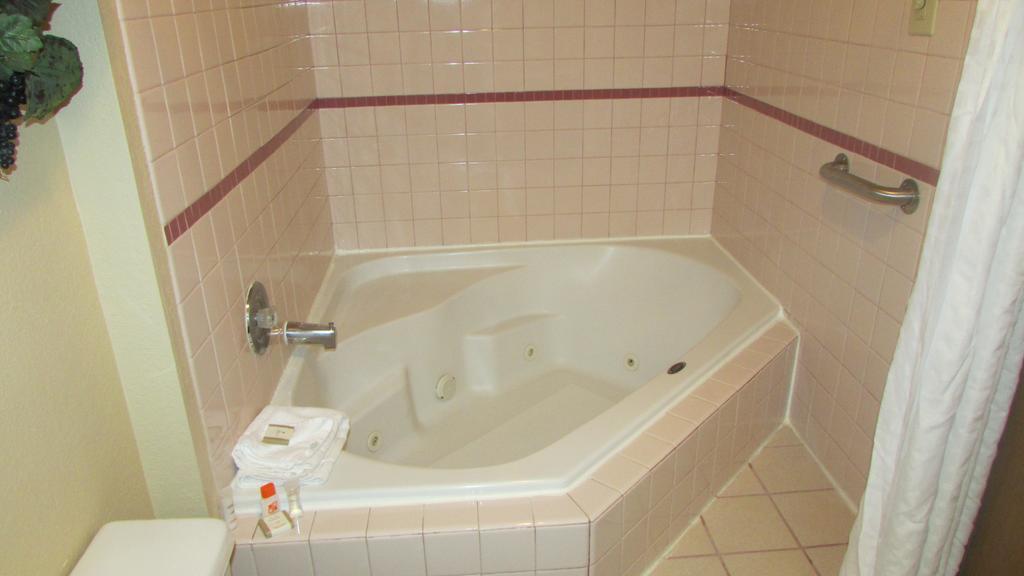 King Studio Suite - Non-Smoking (No Pets)